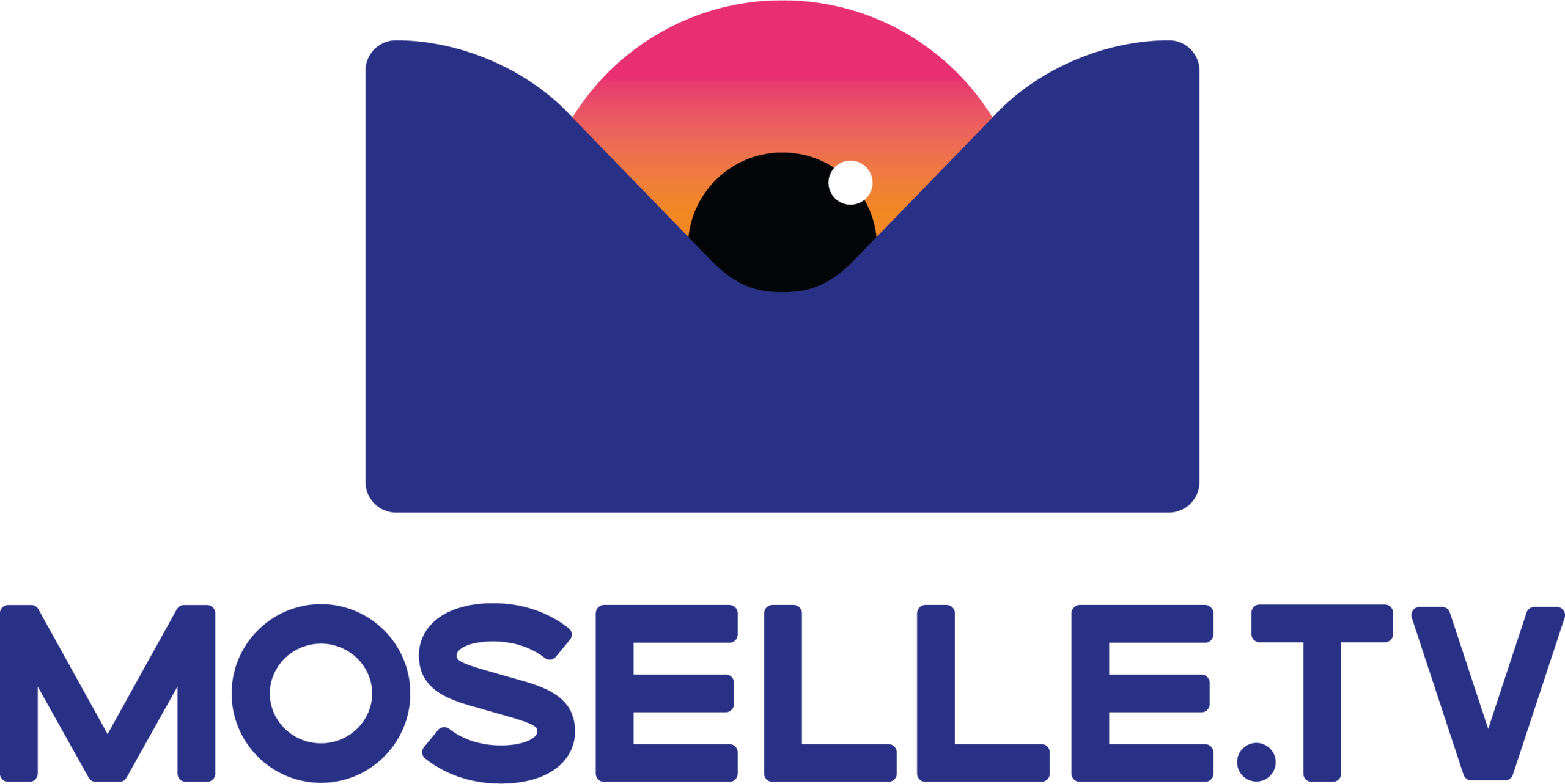 Moselle TV